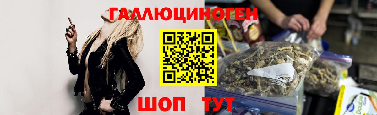 Галлюциногенные грибы GOLDEN TEACHER  Вход с VPN  Избербаш  Галлюциногенные грибы GOLDEN TEACHER 